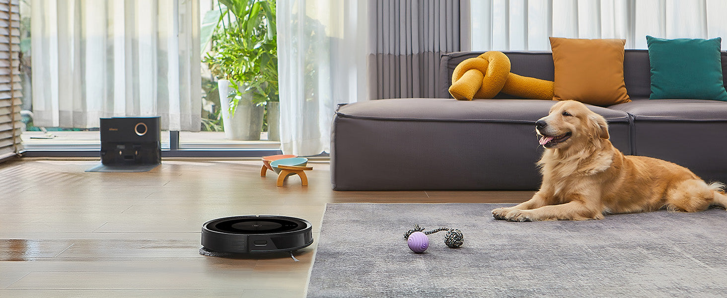 How to Keep Your Home Spotless (Without Losing Your Mind for fur and paws)"